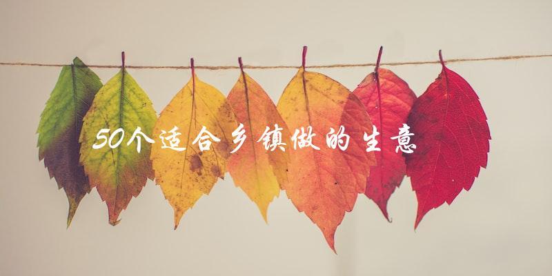 乡镇创业新风潮：50种投资项目助力乡村经济蓬勃发展-汇一线首码网