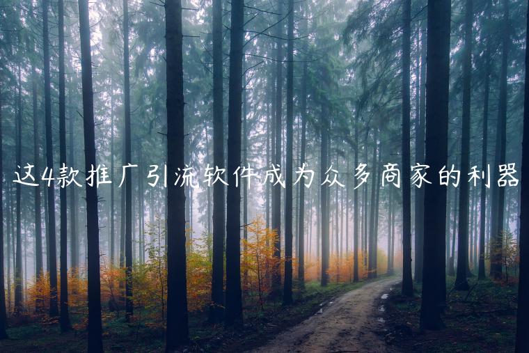 四大引流神器，助你轻松吸引海量顾客-汇一线首码网