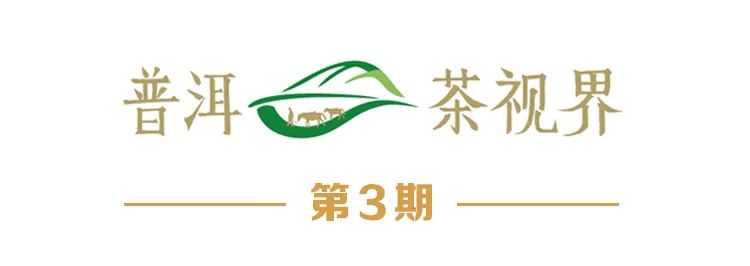 普洱茶品质追溯平/台，让你喝上放心茶-汇一线首码网