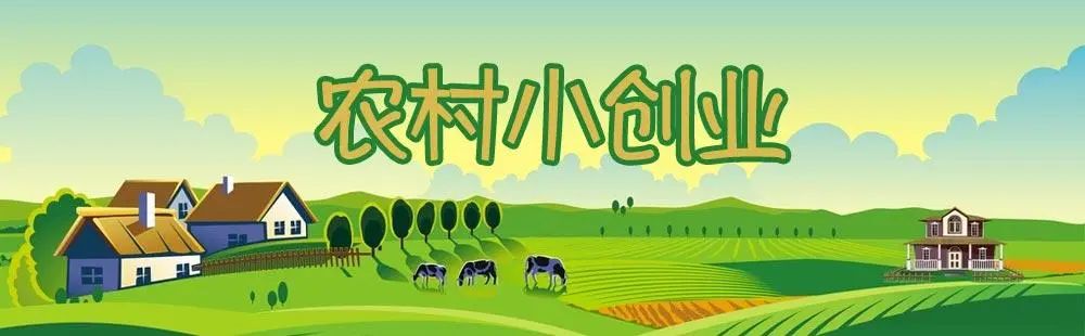 农村创业赚米新玩法，5种爆款方法揭秘-汇一线首码网
