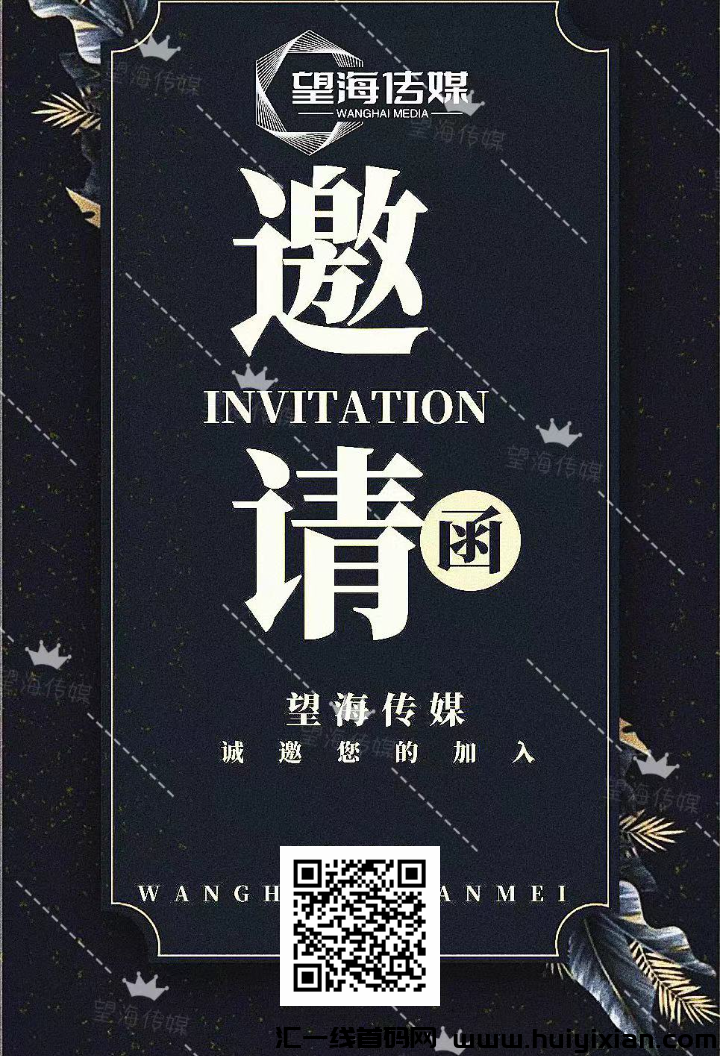 望海传媒，招团队招玳理直推！-汇一线首码网