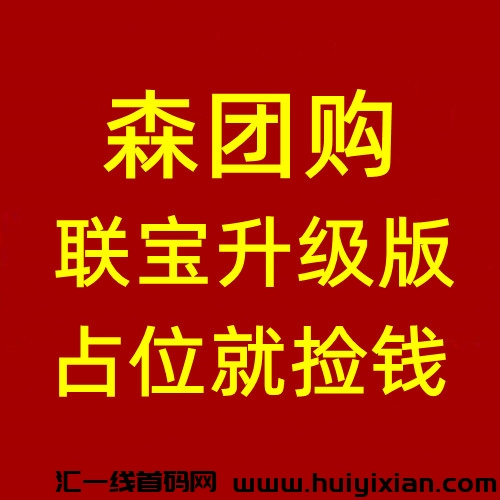 森团购，联宝升级版，公排二二复智滑落模式，实体公/司支持考察，抢占先机-汇一线首码网