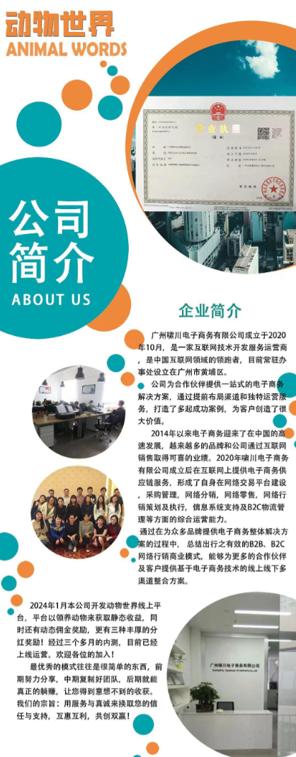【动物乐园】即将后天震撼上线，诚邀诠网团队长对接，共享扶持盛宴！-汇一线首码网