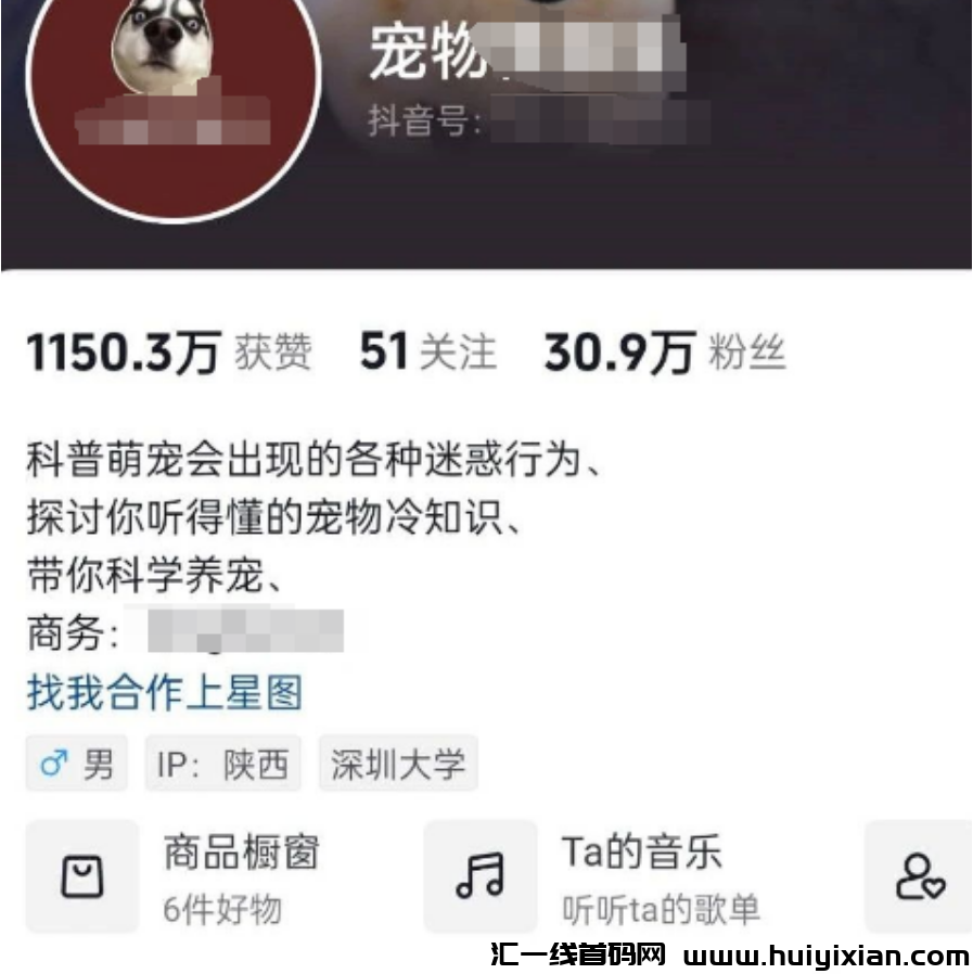 火爆玩法揭秘：月入近3W，新手轻松上手！-汇一线首码网