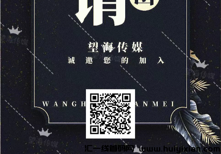 望海传媒平/台，招募玳理！-汇一线首码网