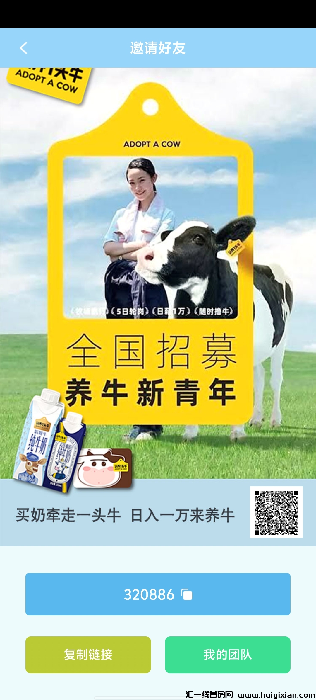认养一头牛，首码项目，团队有扶持！-汇一线首码网