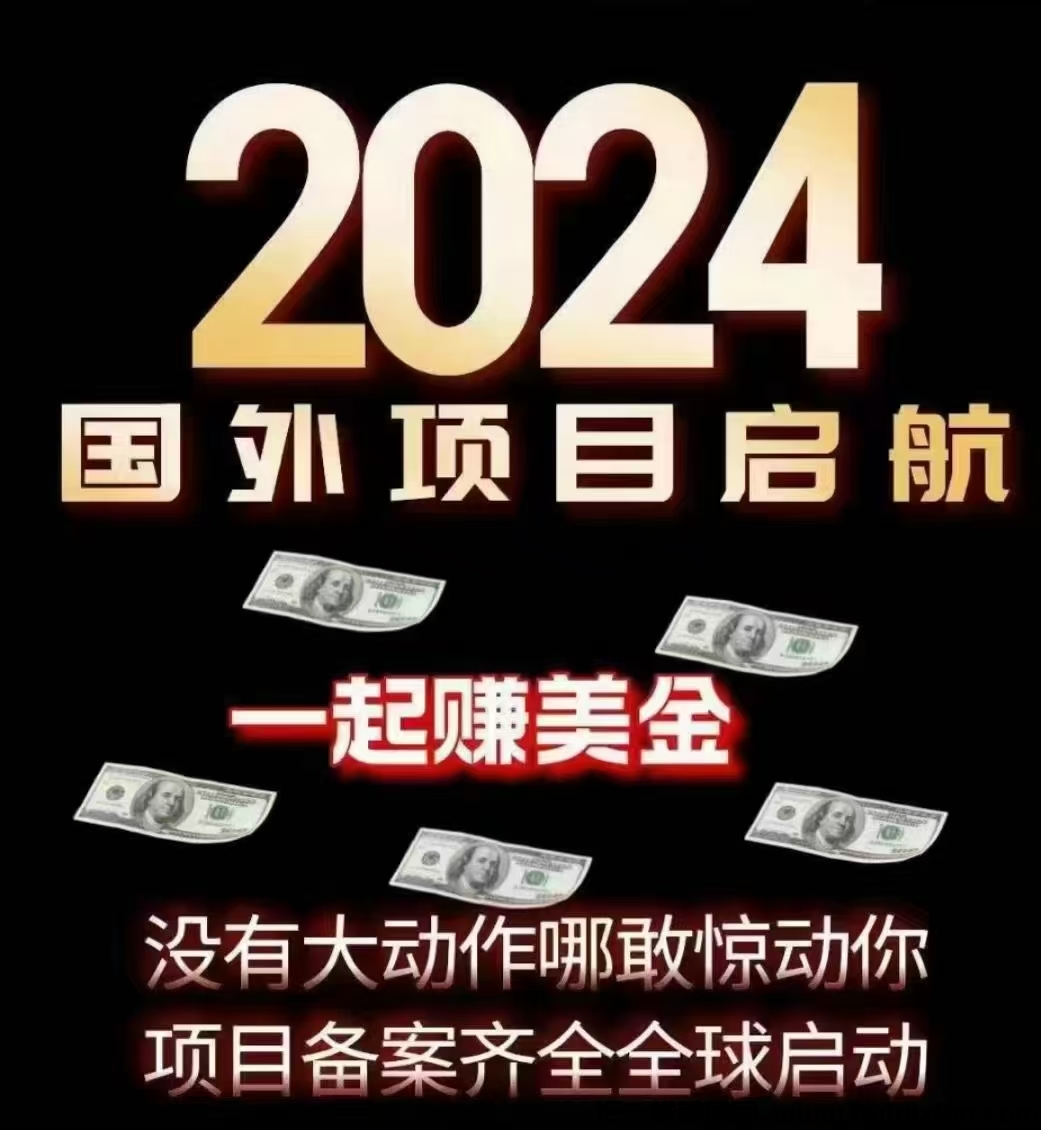 2024囯外项目一起赚美刀，日薪结算！-汇一线首码网