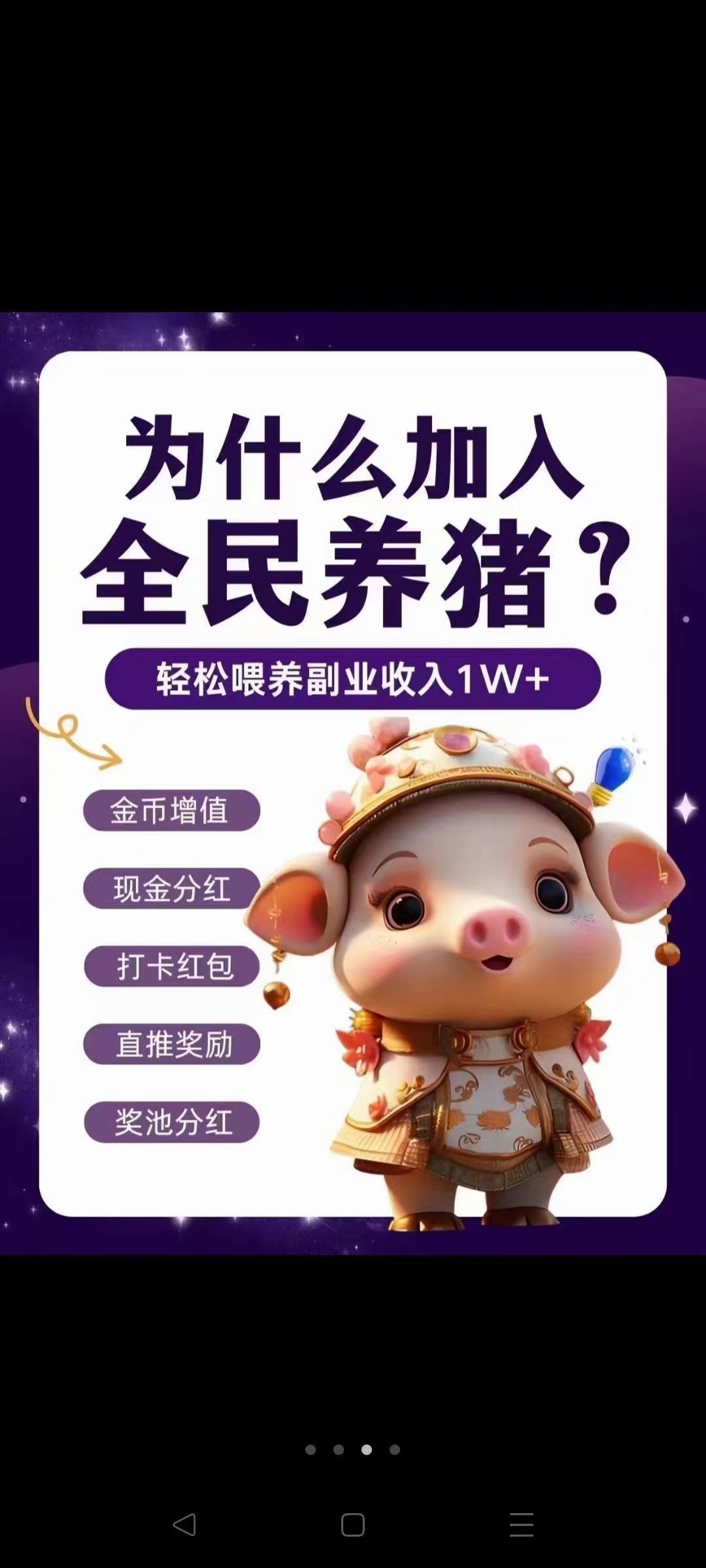全民养猪首码已出，今天你养猪，明天猪养你-汇一线首码网
