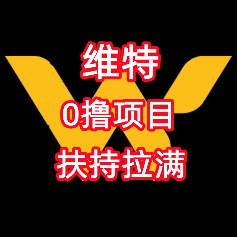 首码【维特】0撸项目，28号上线，团队扶持拉满-汇一线首码网