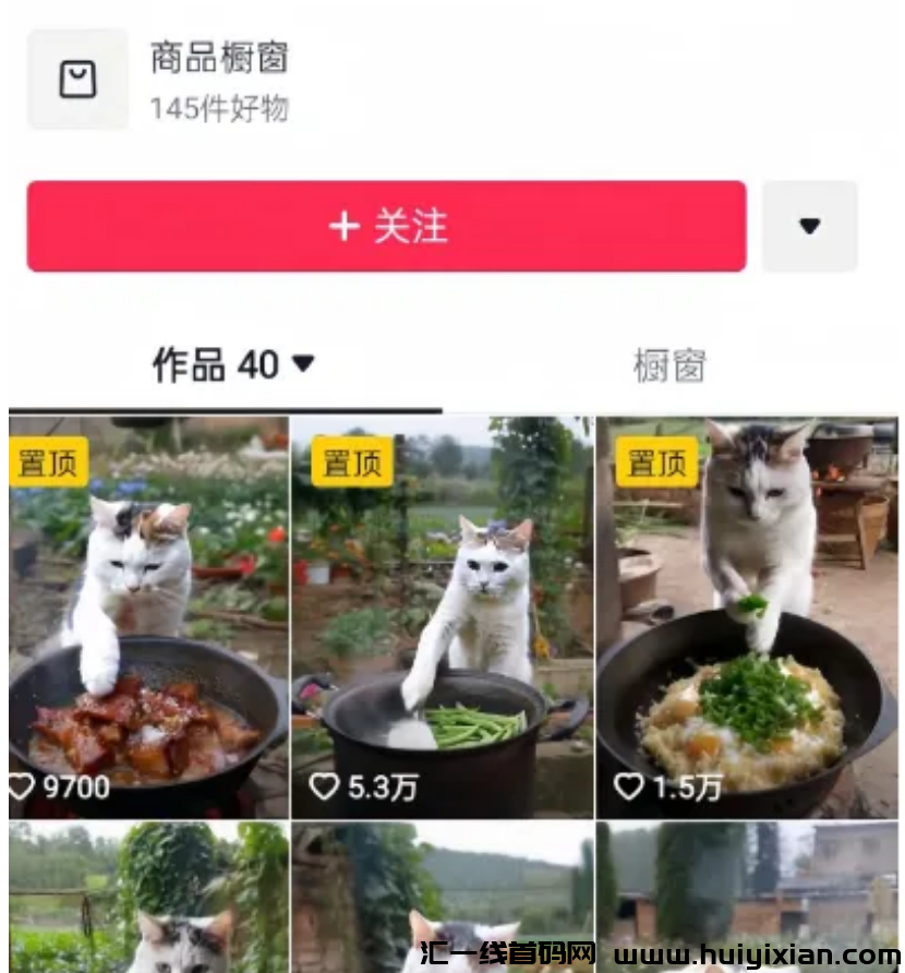 10个作品涨粉2万！当条播放破10万，商単不断！-汇一线首码网