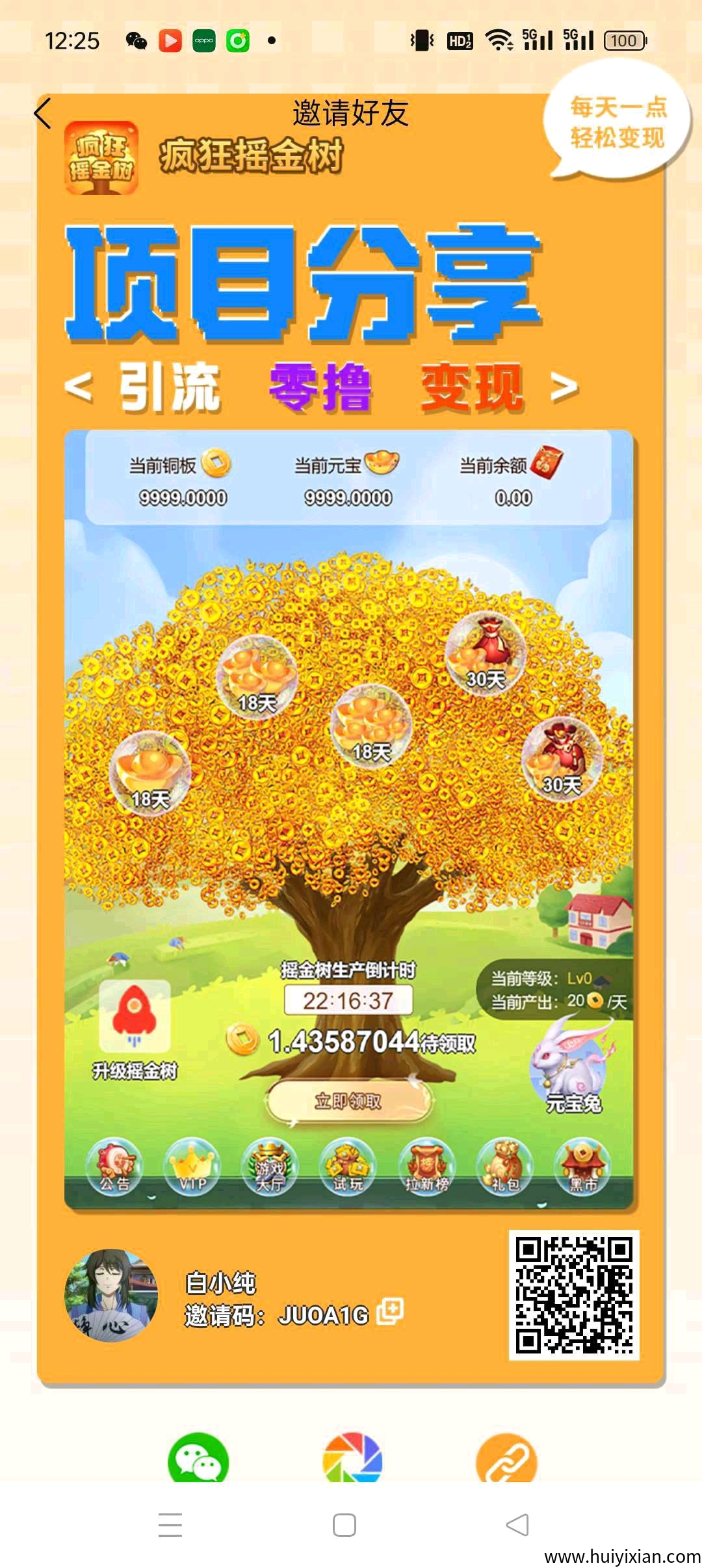 【疯狂摇金树】零撸褂机纯褂机，实时领收溢，零撸表现，保底收溢高。-汇一线首码网