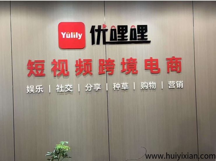 优哩哩模式解读，YLL全球跨境电商已出码-汇一线首码网